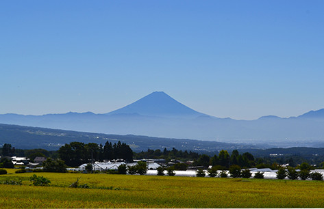 八ヶ岳南麓で見つける