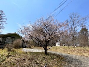 11IMG_5689_Object Removal.jpg