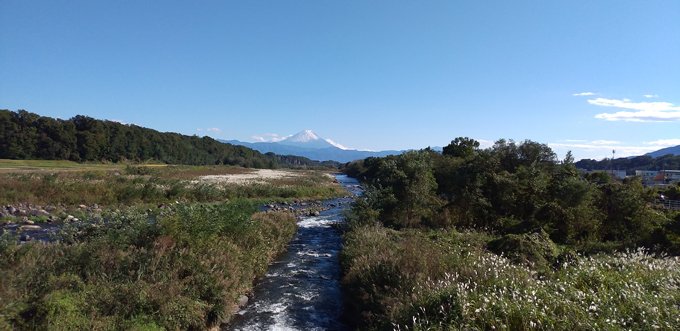 pic5.jpg