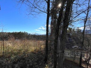 IMG_3140.jpg