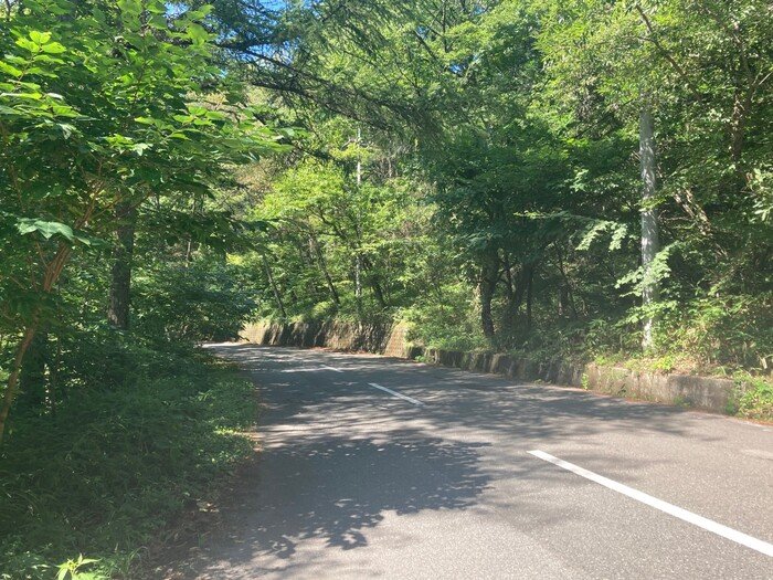 写真7森林地帯 .jpg