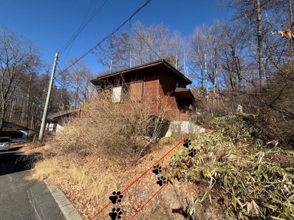 スクリーンショット 2026-02-23 173724.jpg