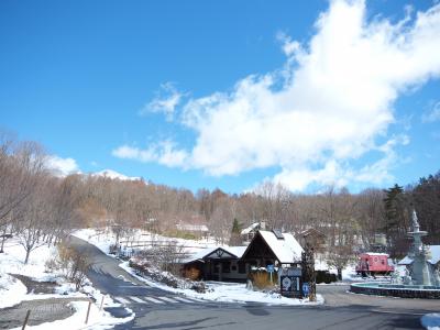4月に雪！？ 八ヶ岳積雪レポート｜泉郷のリゾートライフ