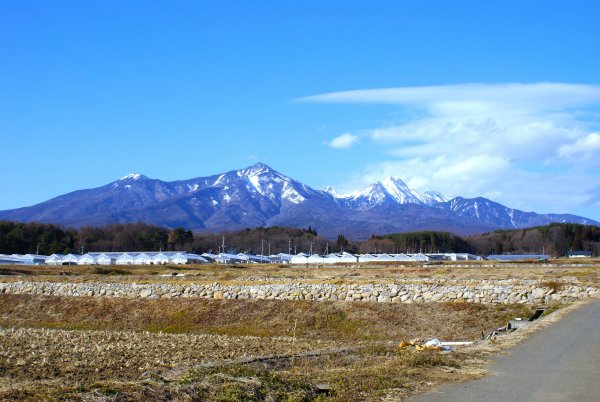 1月八ヶ岳c.JPG