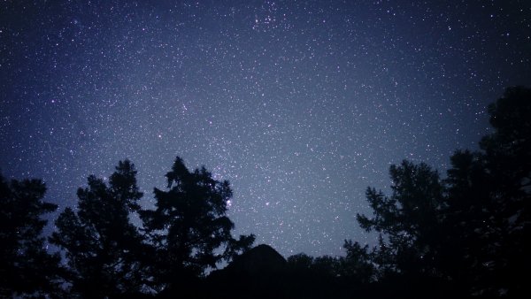森の中の星空.jpg
