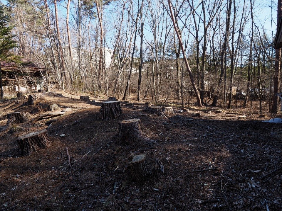 八ヶ岳で別荘を探すなら セラヴィリゾート泉郷