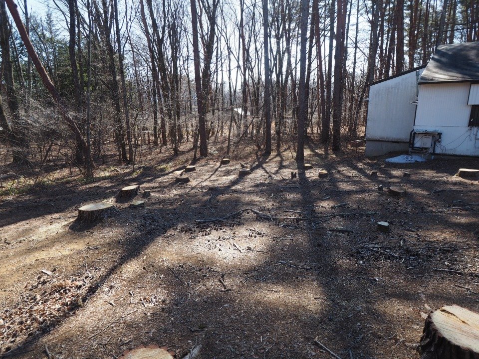 八ヶ岳で別荘を探すなら セラヴィリゾート泉郷