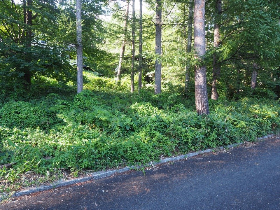 八ヶ岳で別荘を探すなら セラヴィリゾート泉郷