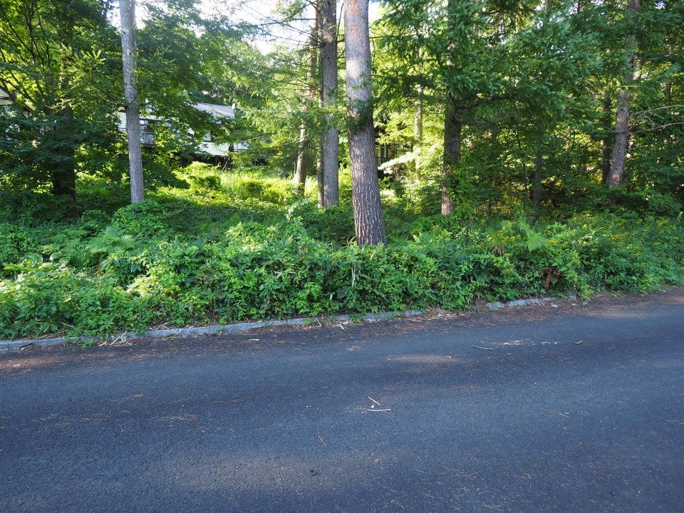 八ヶ岳で別荘を探すなら セラヴィリゾート泉郷