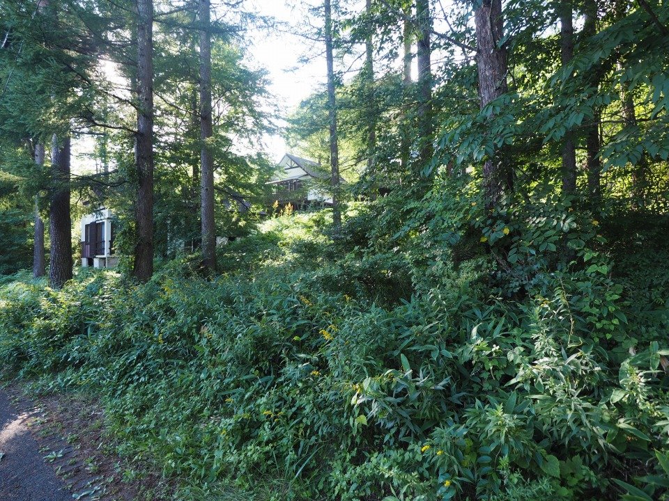 八ヶ岳で別荘を探すなら セラヴィリゾート泉郷