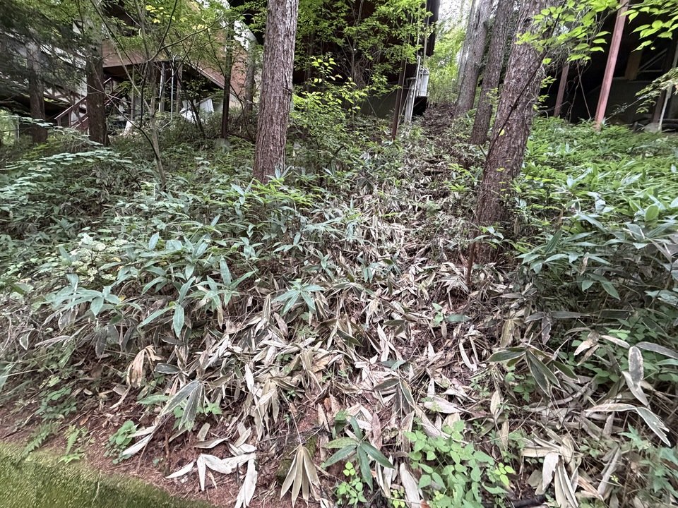 八ヶ岳で別荘を探すなら セラヴィリゾート泉郷