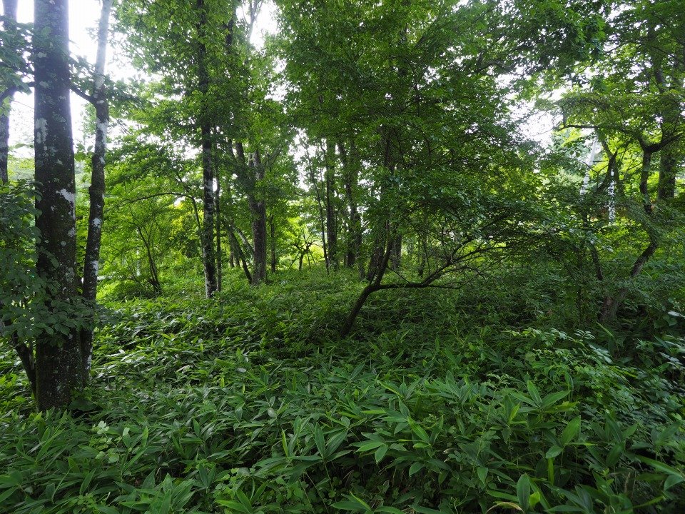 八ヶ岳で別荘を探すなら セラヴィリゾート泉郷