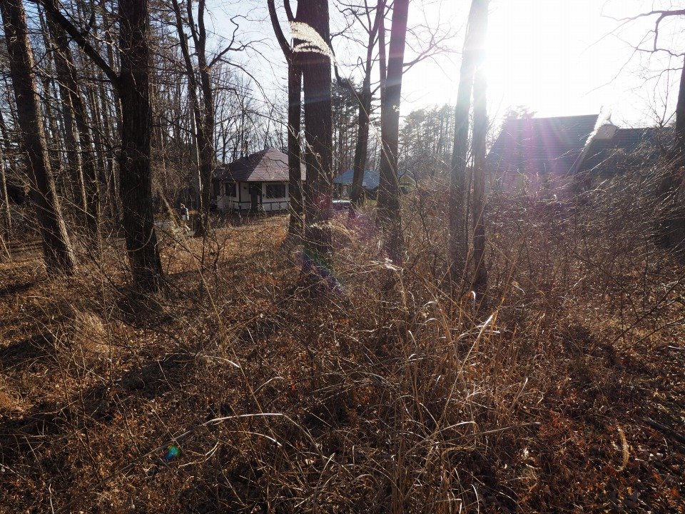 八ヶ岳で別荘を探すなら セラヴィリゾート泉郷