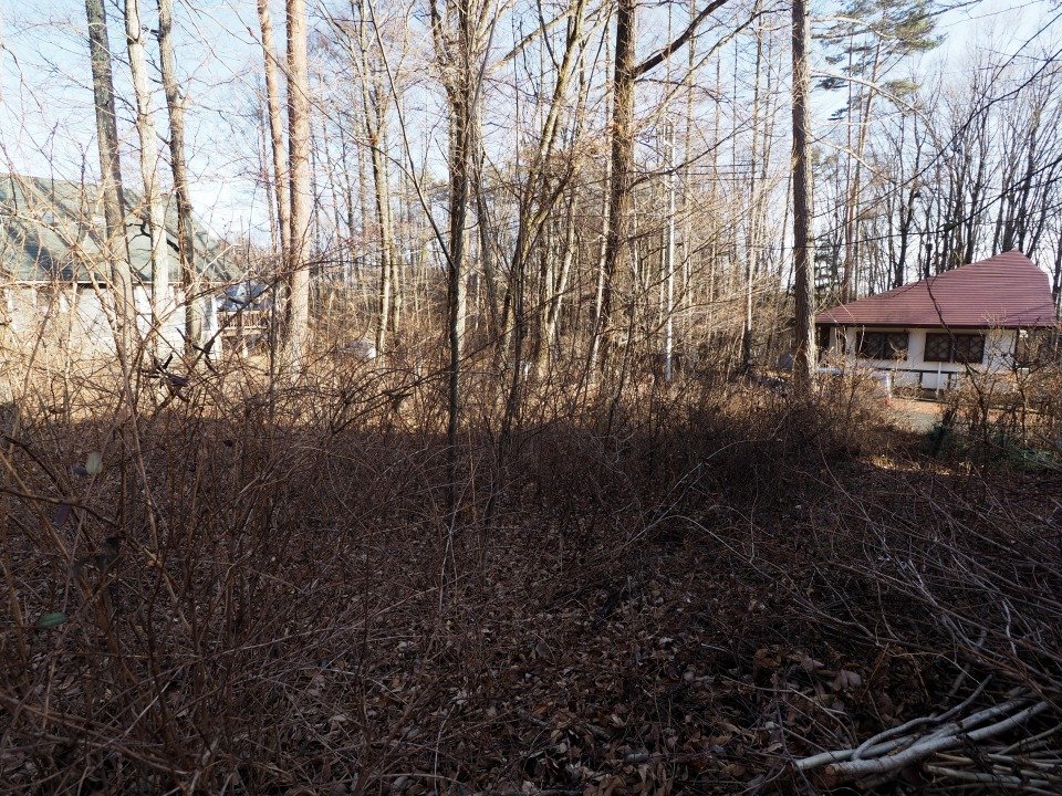 八ヶ岳で別荘を探すなら セラヴィリゾート泉郷