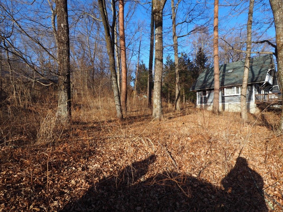 八ヶ岳で別荘を探すなら セラヴィリゾート泉郷