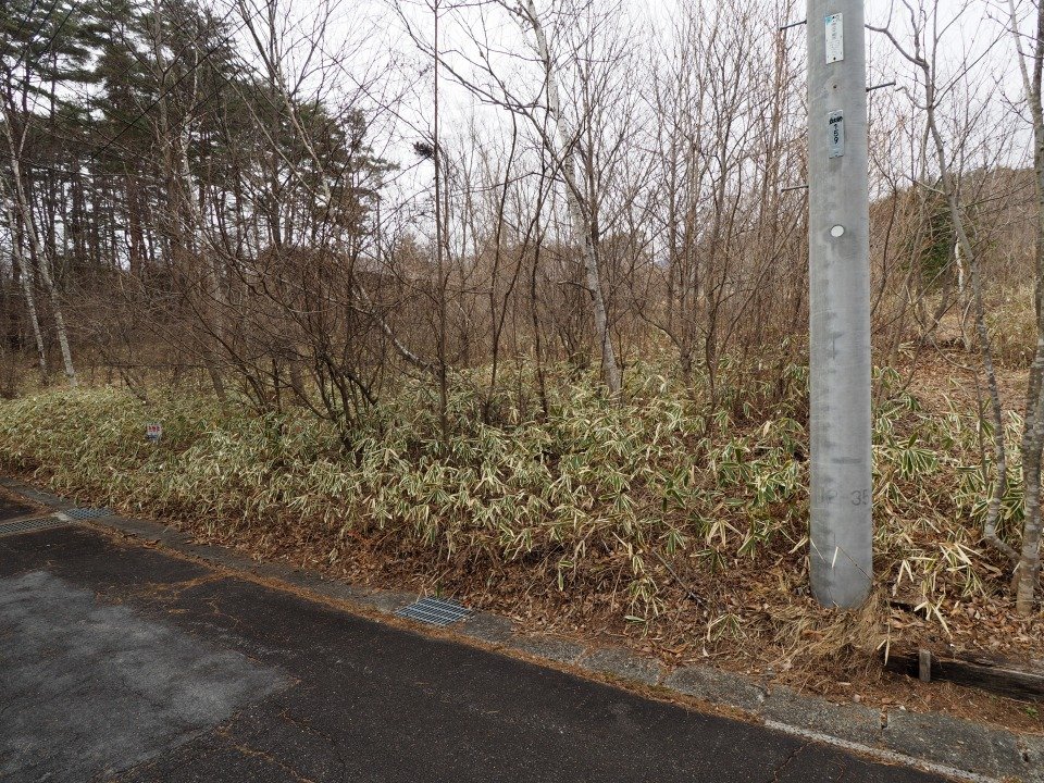 八ヶ岳で別荘を探すなら セラヴィリゾート泉郷