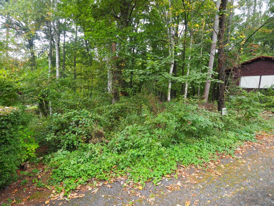 八ヶ岳で別荘を探すなら セラヴィリゾート泉郷