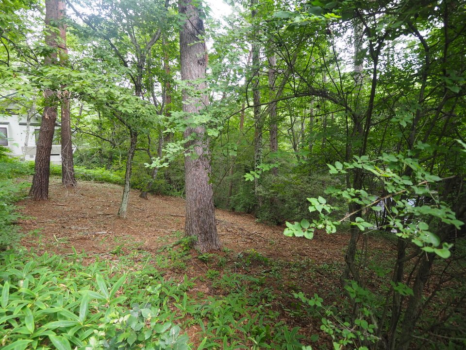 八ヶ岳で別荘を探すなら セラヴィリゾート泉郷