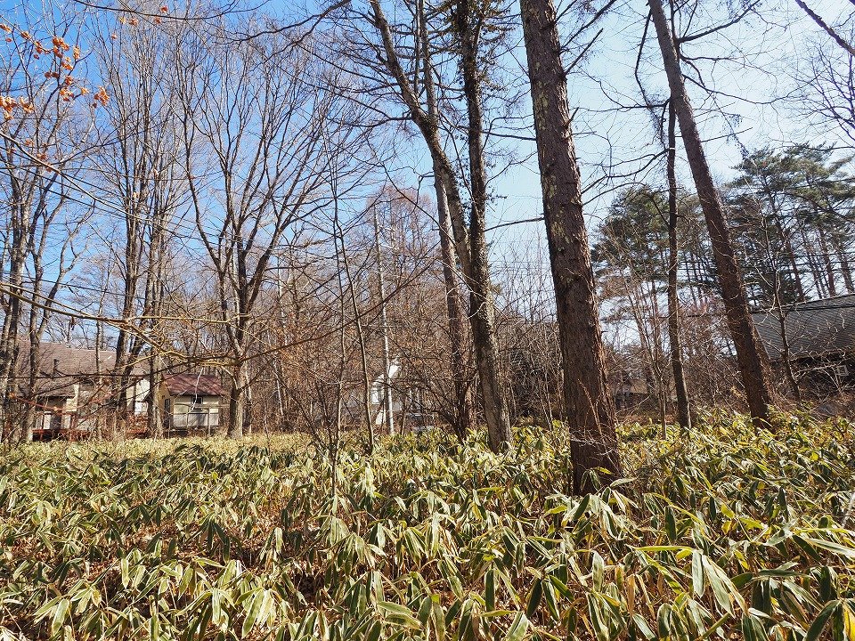 八ヶ岳で別荘を探すなら セラヴィリゾート泉郷