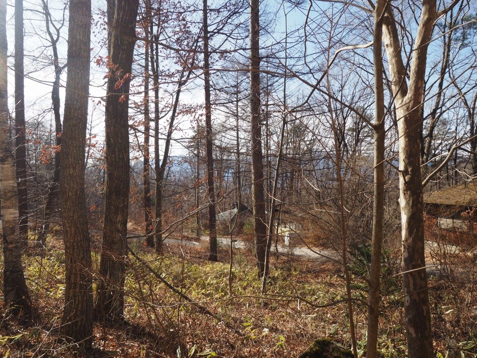 八ヶ岳で別荘を探すなら セラヴィリゾート泉郷