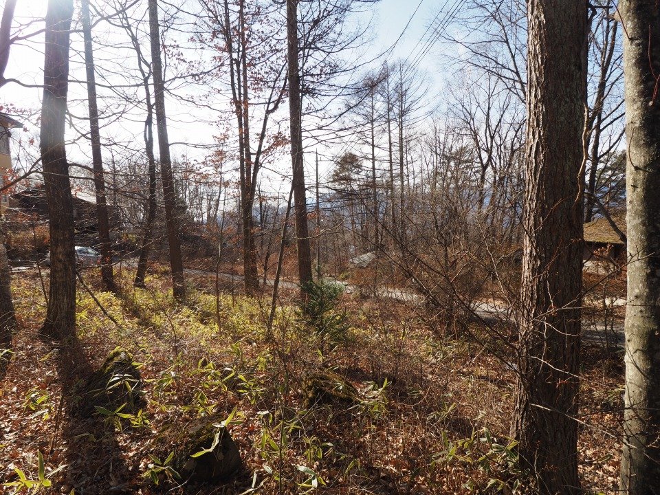 八ヶ岳で別荘を探すなら セラヴィリゾート泉郷