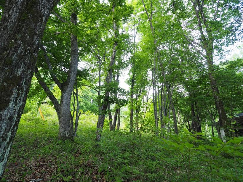 八ヶ岳で別荘を探すなら セラヴィリゾート泉郷