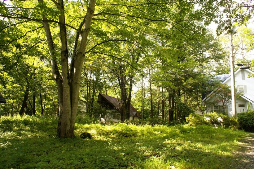 八ヶ岳で別荘を探すなら セラヴィリゾート泉郷