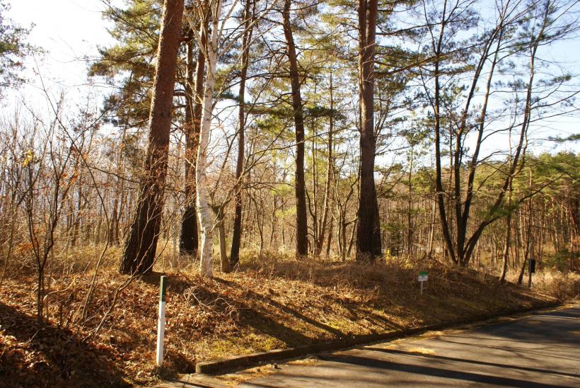 八ヶ岳で別荘を探すなら セラヴィリゾート泉郷