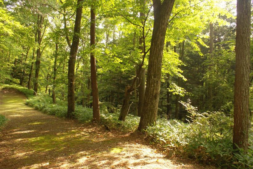 八ヶ岳で別荘を探すなら セラヴィリゾート泉郷