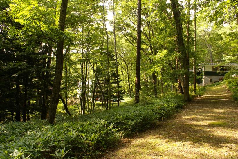 八ヶ岳で別荘を探すなら セラヴィリゾート泉郷