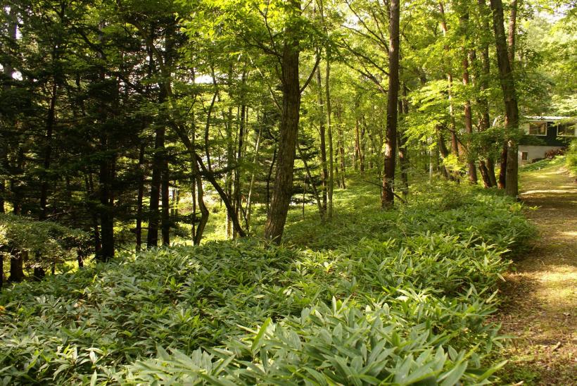 八ヶ岳で別荘を探すなら セラヴィリゾート泉郷