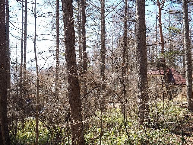 八ヶ岳で別荘を探すなら セラヴィリゾート泉郷