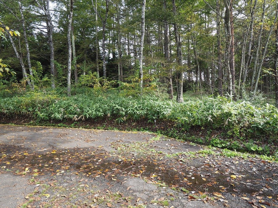 八ヶ岳で別荘を探すなら セラヴィリゾート泉郷