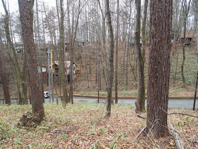 八ヶ岳で別荘を探すなら セラヴィリゾート泉郷