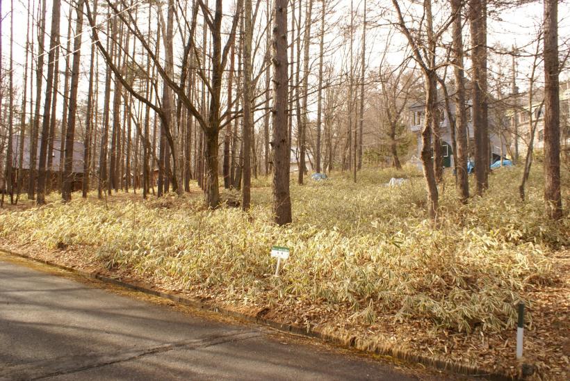 八ヶ岳で別荘を探すなら セラヴィリゾート泉郷