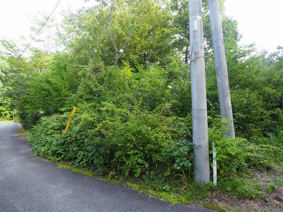 八ヶ岳で別荘を探すなら セラヴィリゾート泉郷