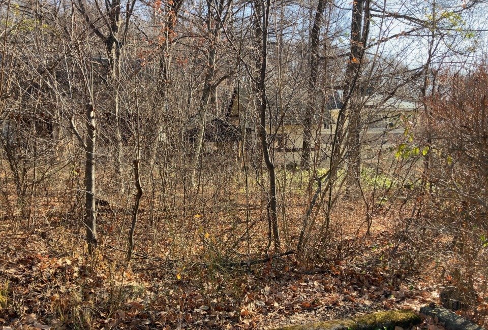 八ヶ岳で別荘を探すなら セラヴィリゾート泉郷