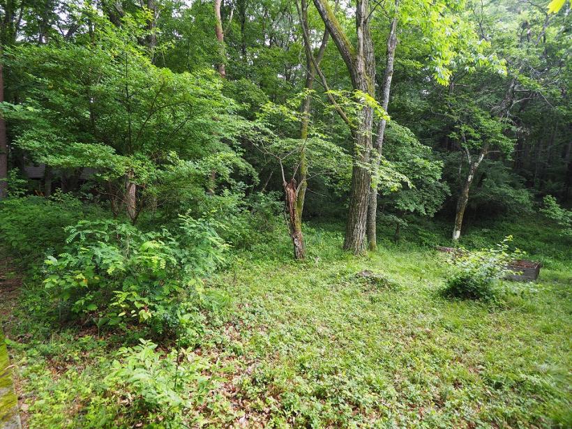 八ヶ岳で別荘を探すなら セラヴィリゾート泉郷