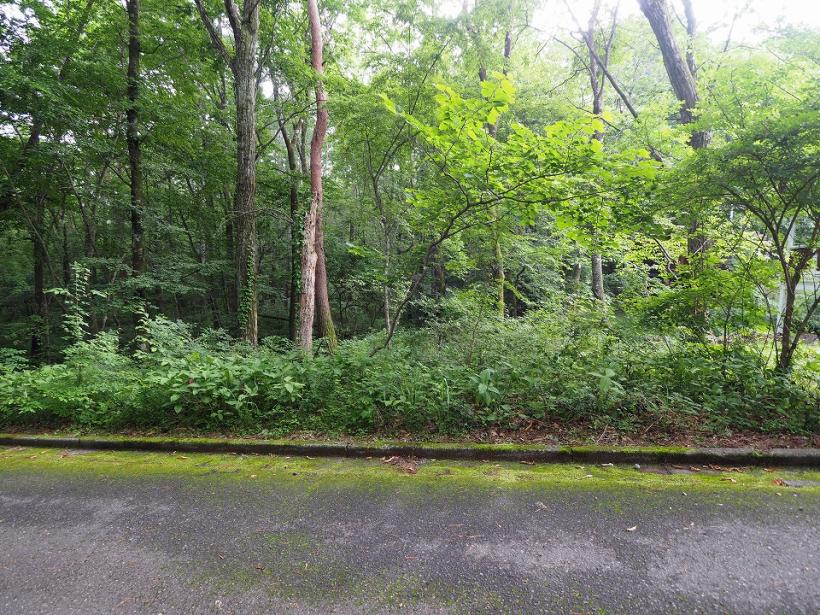 八ヶ岳で別荘を探すなら セラヴィリゾート泉郷