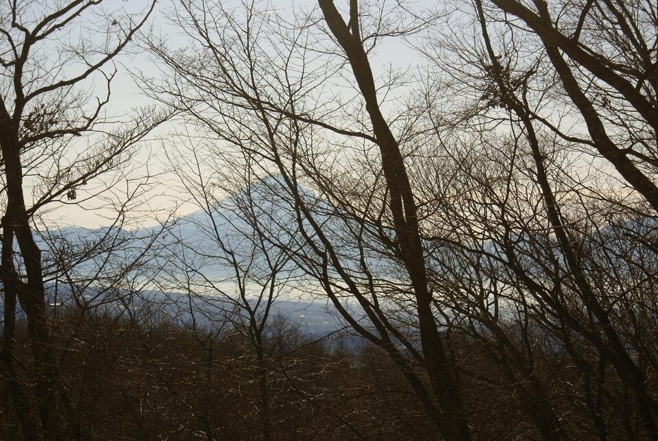 八ヶ岳で別荘を探すなら セラヴィリゾート泉郷
