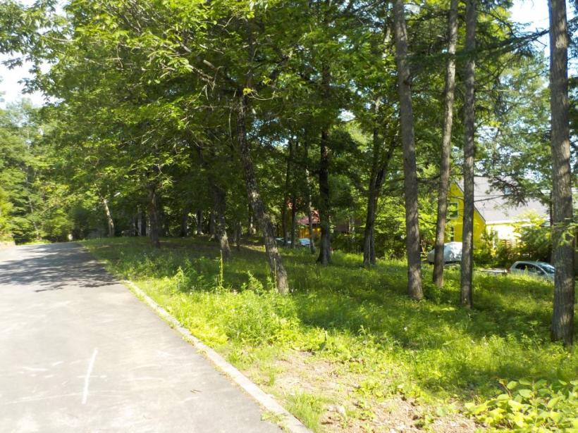 八ヶ岳で別荘を探すなら セラヴィリゾート泉郷