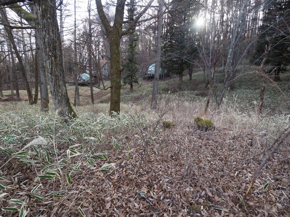 八ヶ岳で別荘を探すなら セラヴィリゾート泉郷