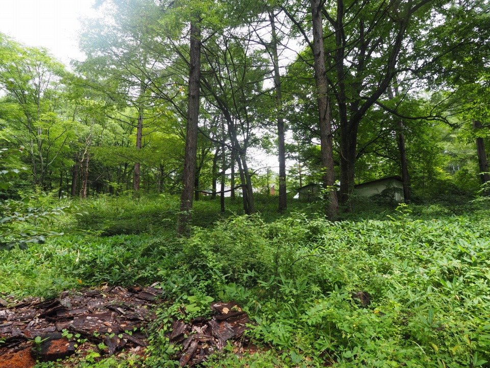 八ヶ岳で別荘を探すなら セラヴィリゾート泉郷