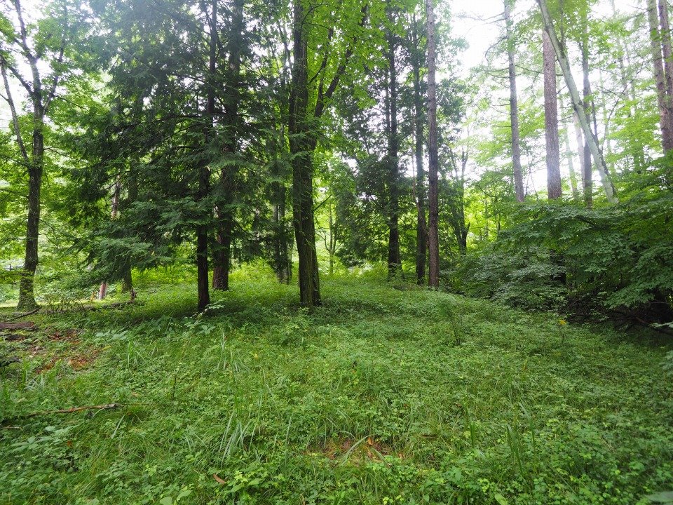 八ヶ岳で別荘を探すなら セラヴィリゾート泉郷