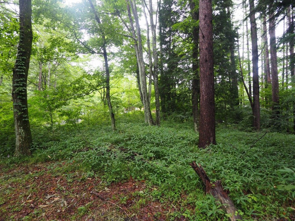八ヶ岳で別荘を探すなら セラヴィリゾート泉郷