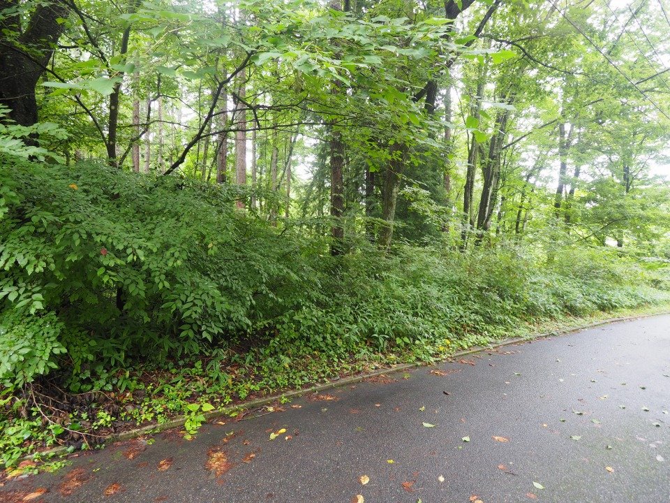 八ヶ岳で別荘を探すなら セラヴィリゾート泉郷