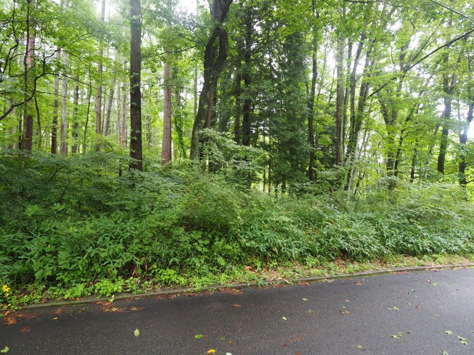 八ヶ岳で別荘を探すなら セラヴィリゾート泉郷