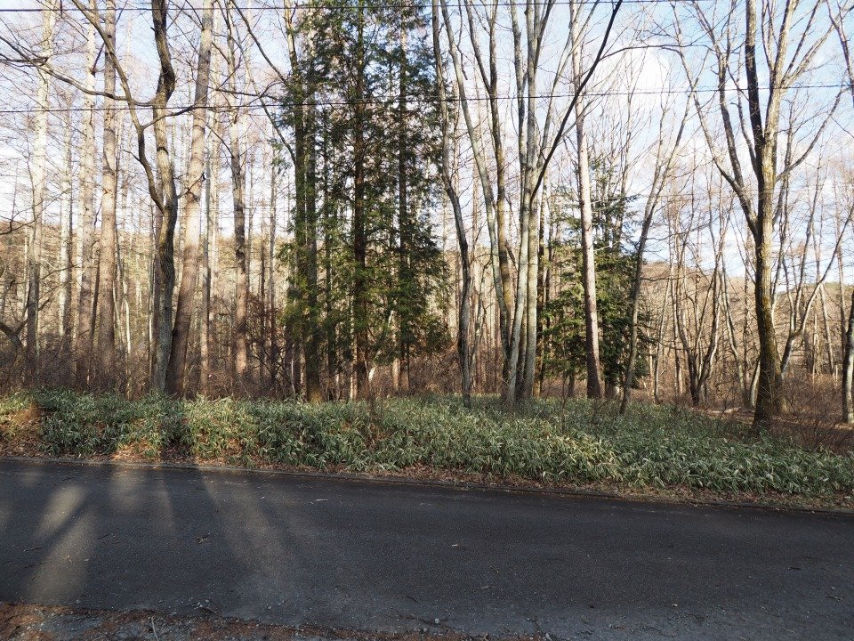 八ヶ岳で別荘を探すなら セラヴィリゾート泉郷