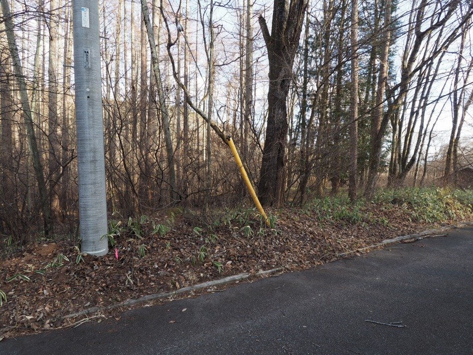 八ヶ岳で別荘を探すなら セラヴィリゾート泉郷