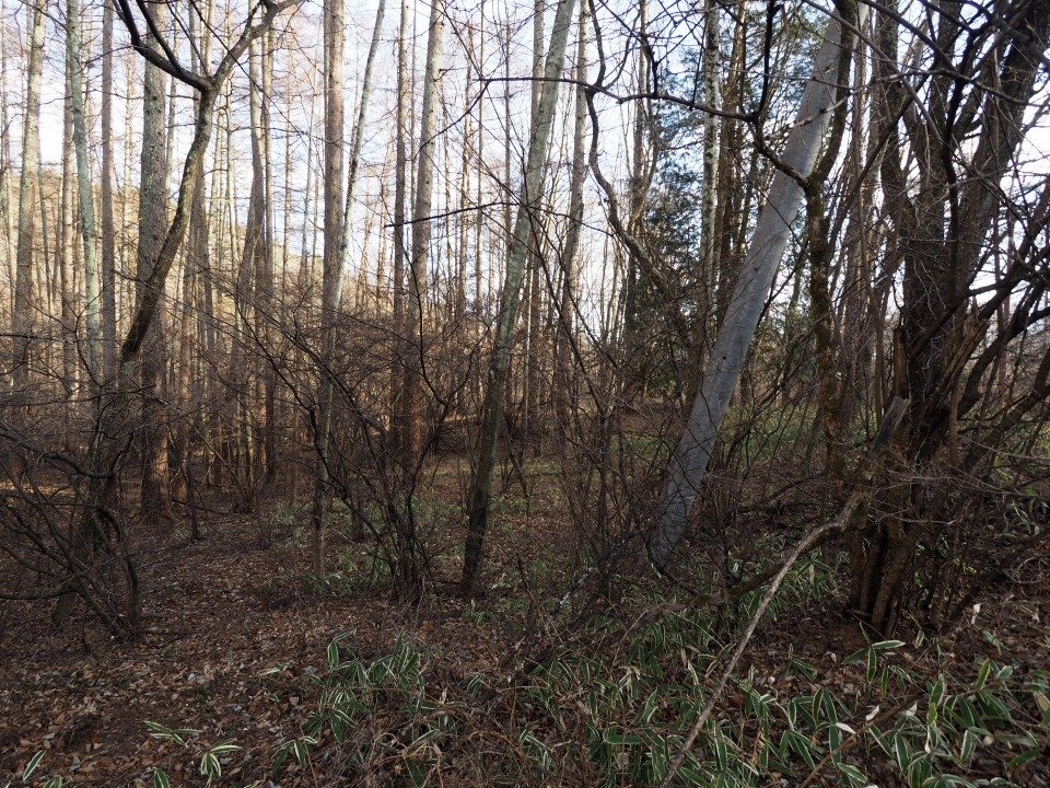 八ヶ岳で別荘を探すなら セラヴィリゾート泉郷